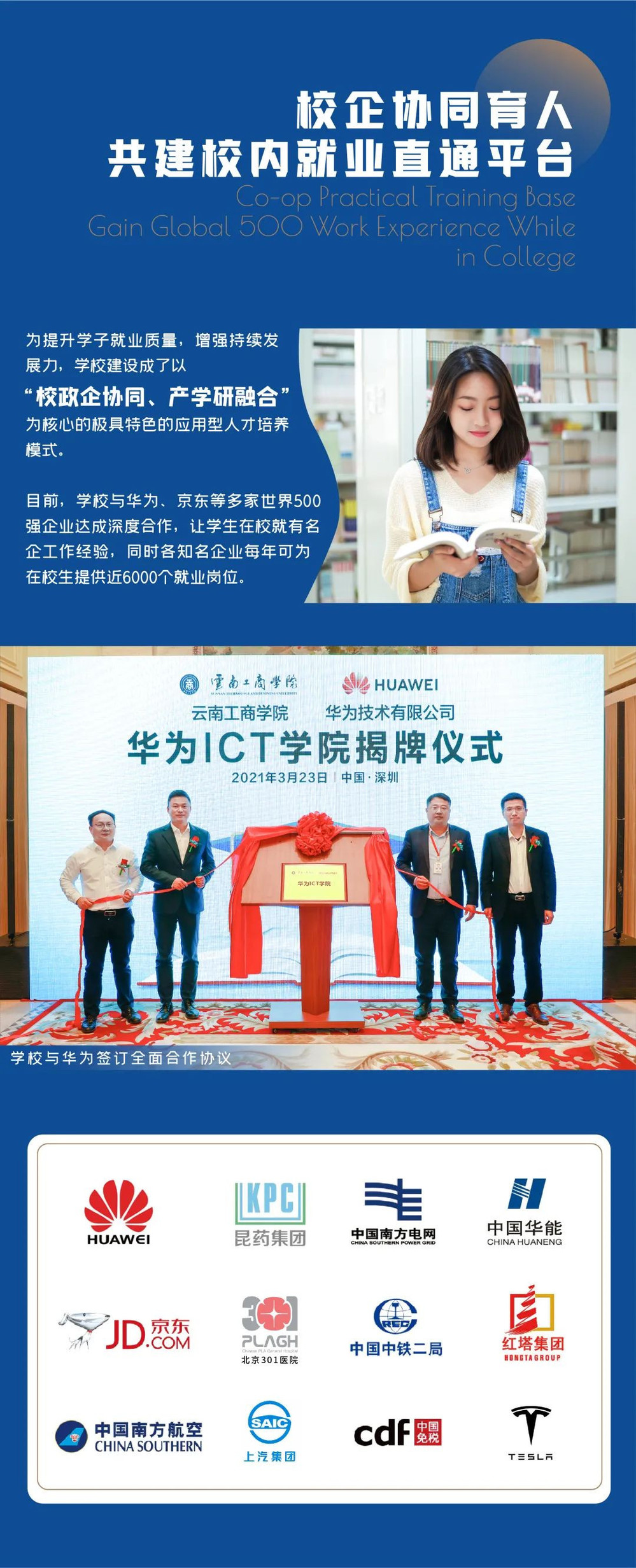 专业7
