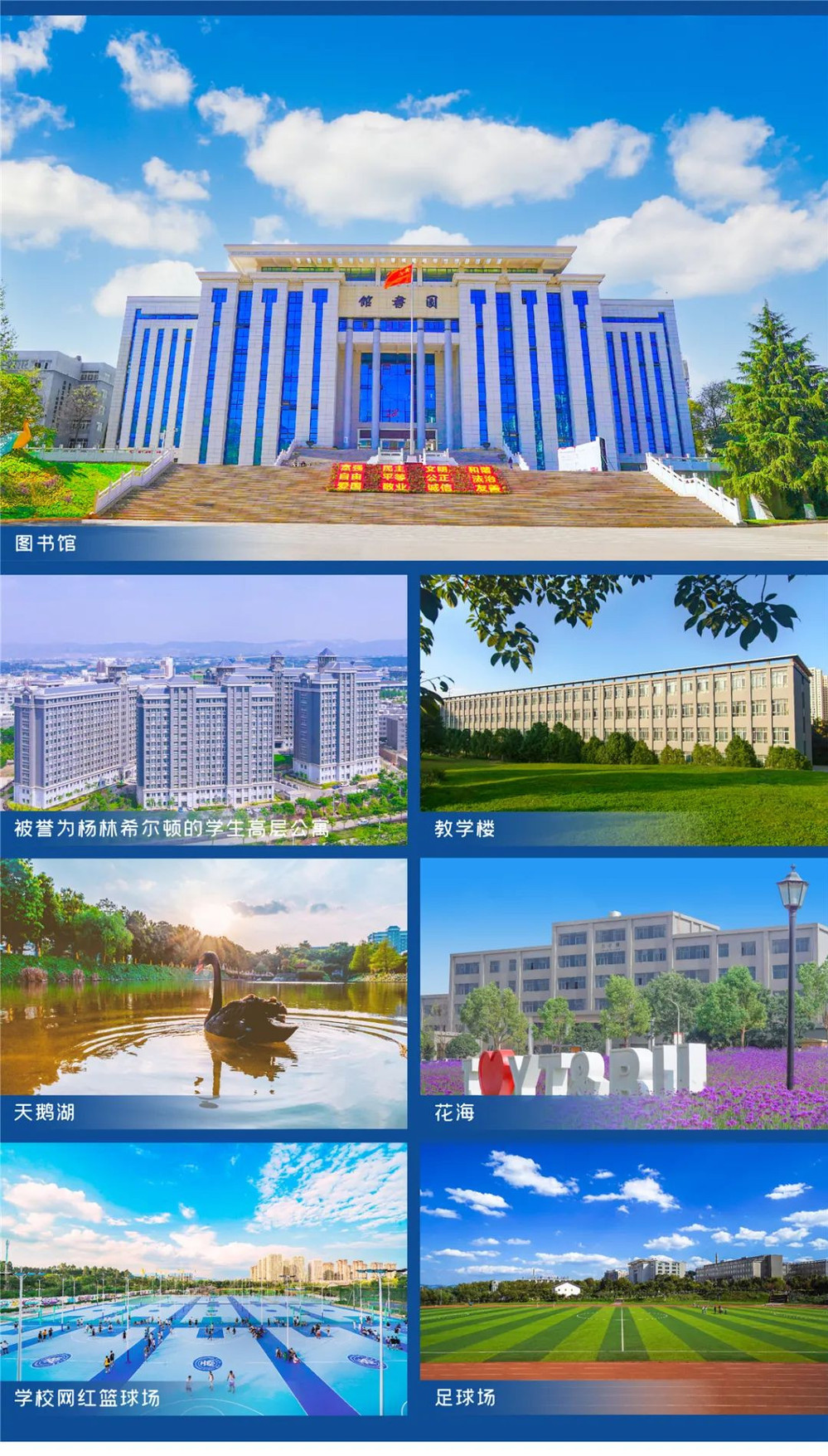 专业4